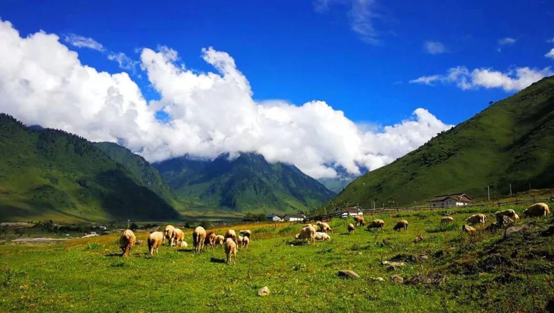 雅安旅游攻略_攻略旅游雅安的路线_雅安旅行攻略