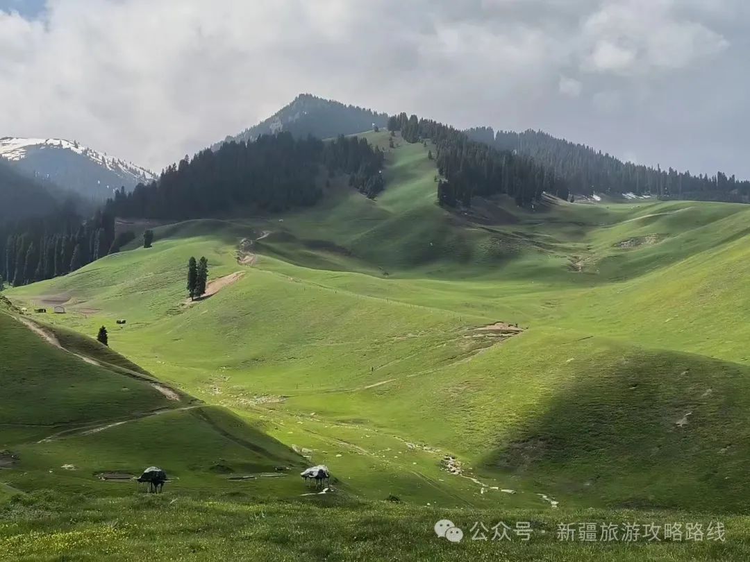 新疆十月份旅游攻略_新疆旅游合适月份_新疆旅游月份