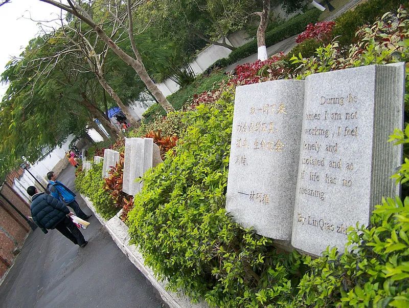 武夷山鼓浪屿旅游攻略_鼓浪屿和武夷山是一条线路吗_鼓浪屿和武夷山两景点怎么安排