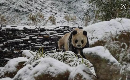 武汉武当山好玩吗_武汉武当山旅游攻略_武汉武当山门票多少钱