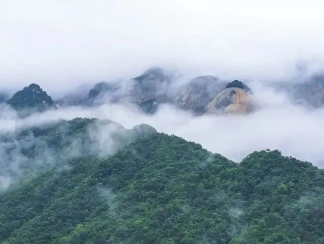 武汉的武当山_武汉武当山旅游攻略_武汉武当山门票多少钱