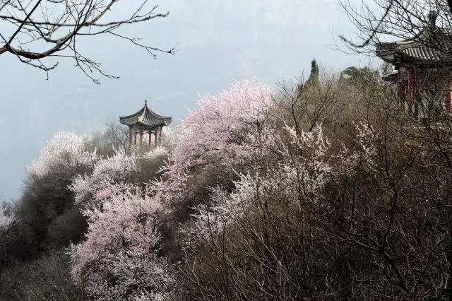 石家庄棋盘山旅游景点攻略_石家庄 棋盘山旅游攻略_石家庄棋盘山风景区