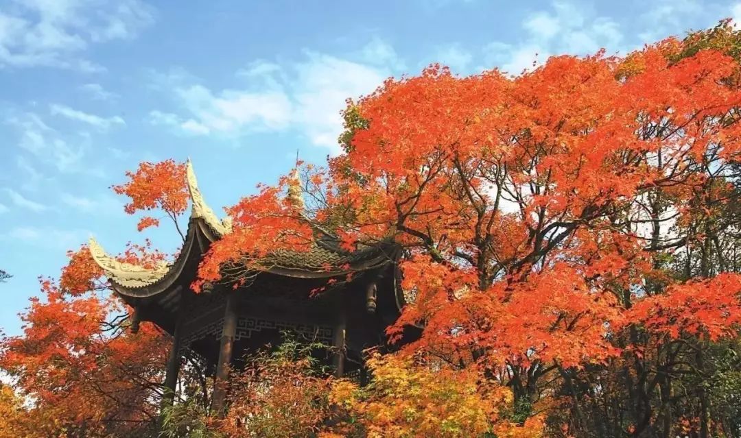 峨眉山2天旅游攻略_峨眉山天景区天气预报_峨眉山景区天气查询