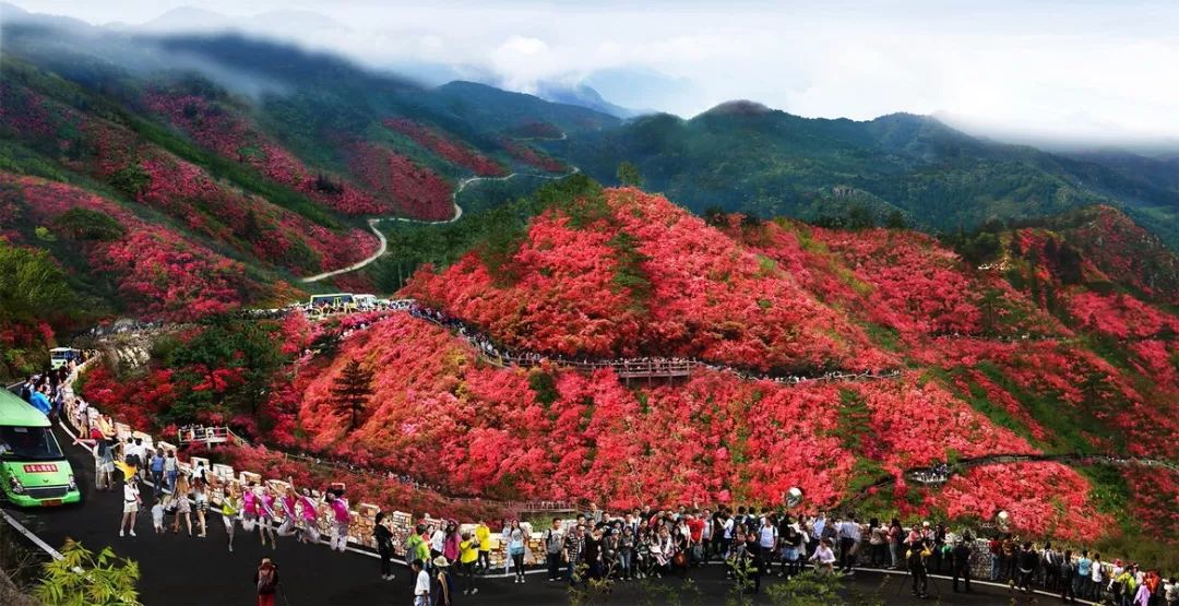 武汉武当山一日游攻略_武汉武当山好玩吗_武汉武当山旅游攻略