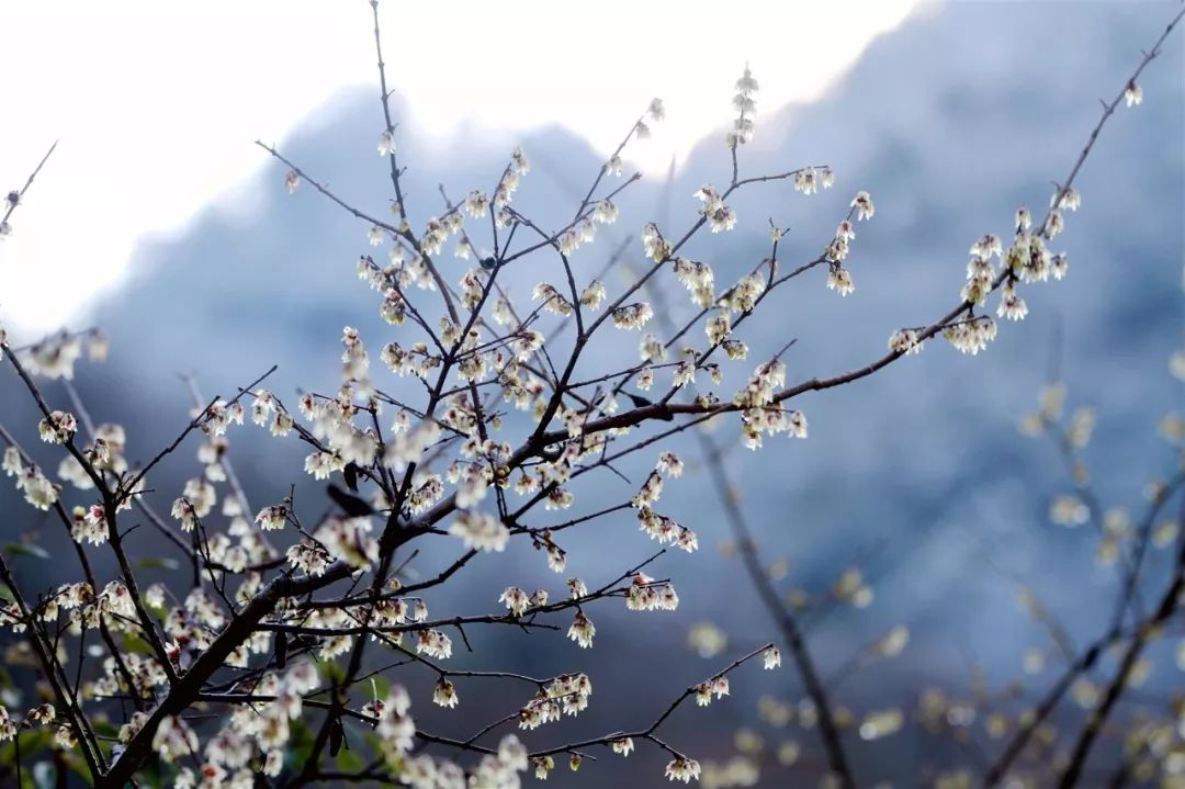 武汉武当山好玩吗_武汉武当山旅游攻略_武汉武当山一日游攻略