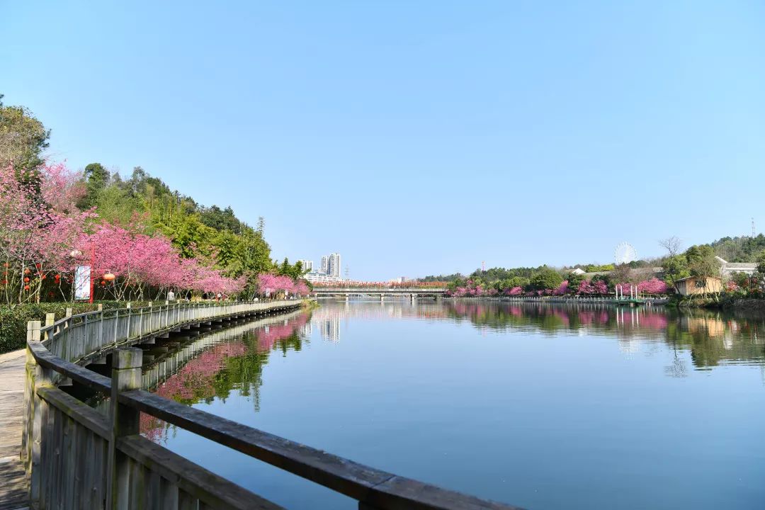 南昌到井冈山旅游攻略_南昌出发井冈山二日游_南昌去井冈山一日游