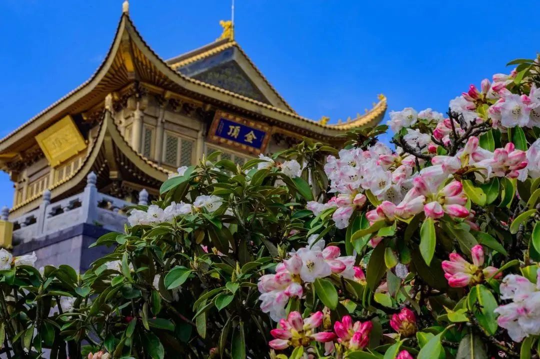 峨眉山天景区天气预报_峨眉山景区天气查询_峨眉山2天旅游攻略