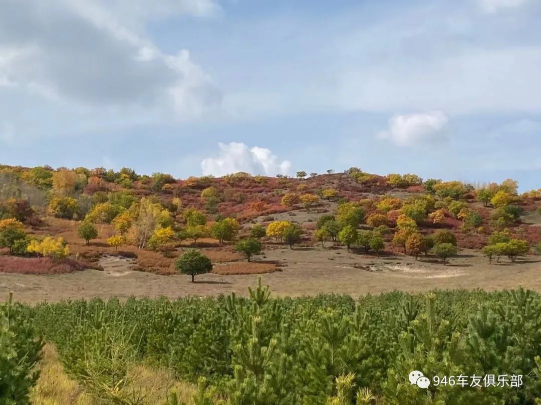 石家庄到内蒙古旅游_石家庄自驾内蒙4日旅游_石家庄到内蒙胡杨林旅游攻略