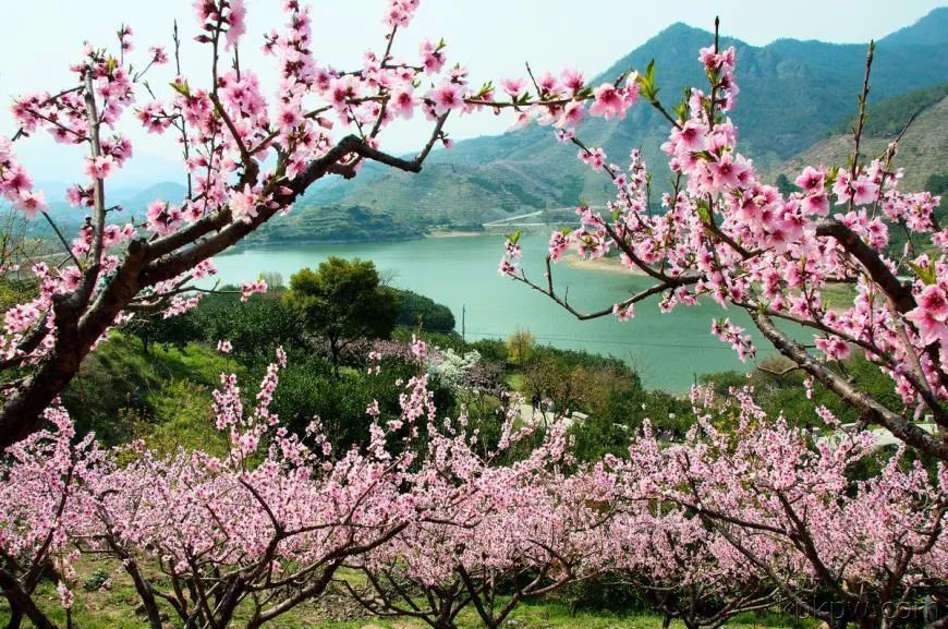 武义牛头山自驾游路况_武义牛头山游玩时间_武义北到牛头山旅游攻略