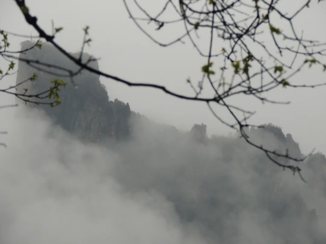 武义牛头山游玩时间_武义牛头山自驾游路况_武义北到牛头山旅游攻略