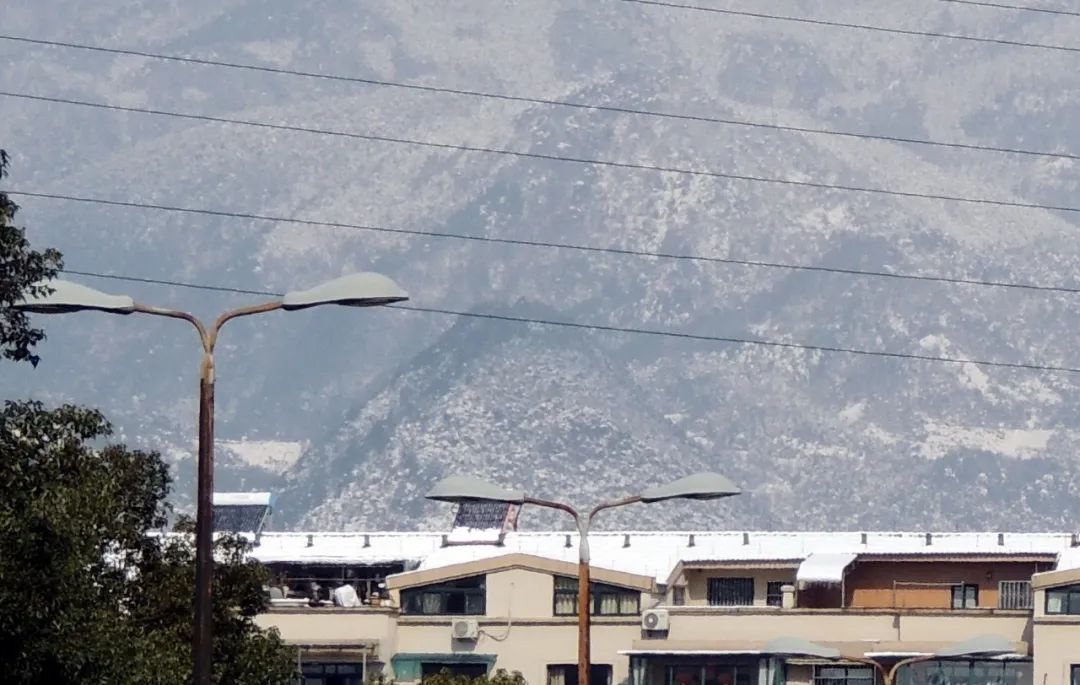 武义牛头山自驾游路况_武义牛头山游玩时间_武义北到牛头山旅游攻略