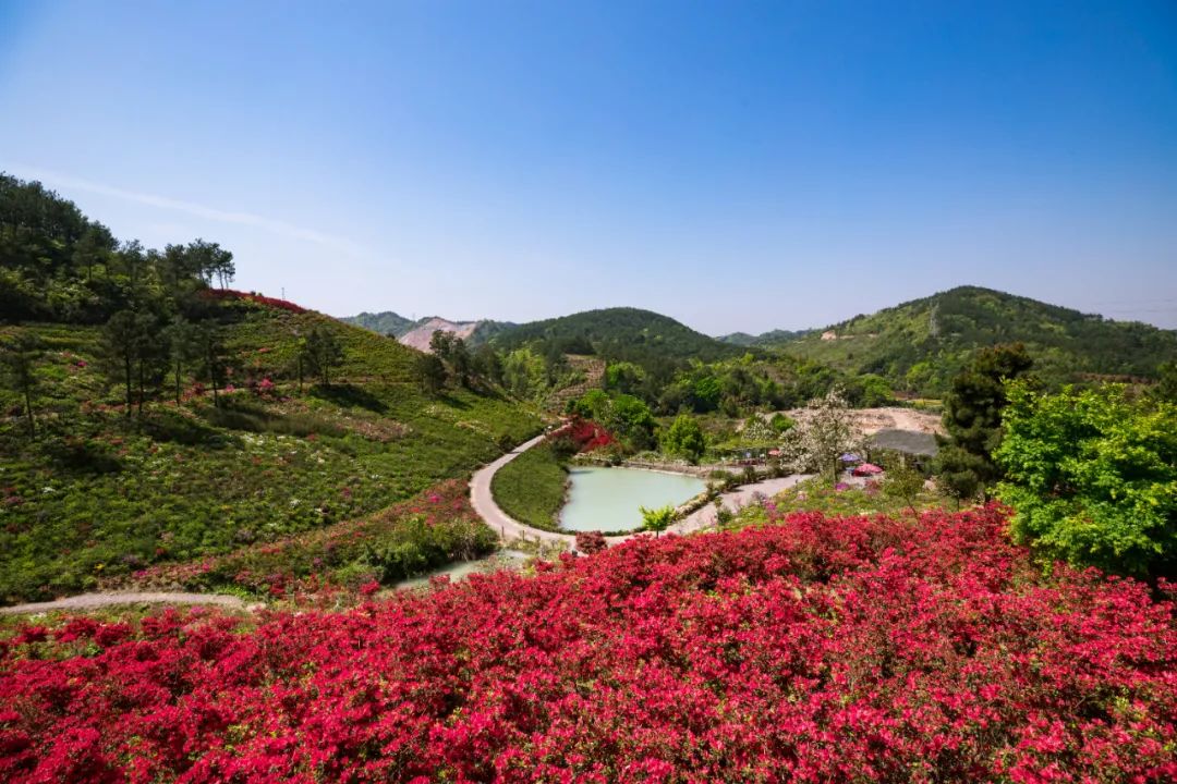 武义牛头山游玩时间_武义北到牛头山旅游攻略_武义牛头山多少时间可以到山顶