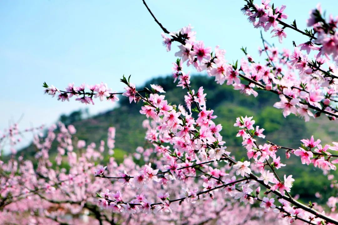 武义北到牛头山旅游攻略_武义牛头山游玩时间_武义牛头山多少时间可以到山顶