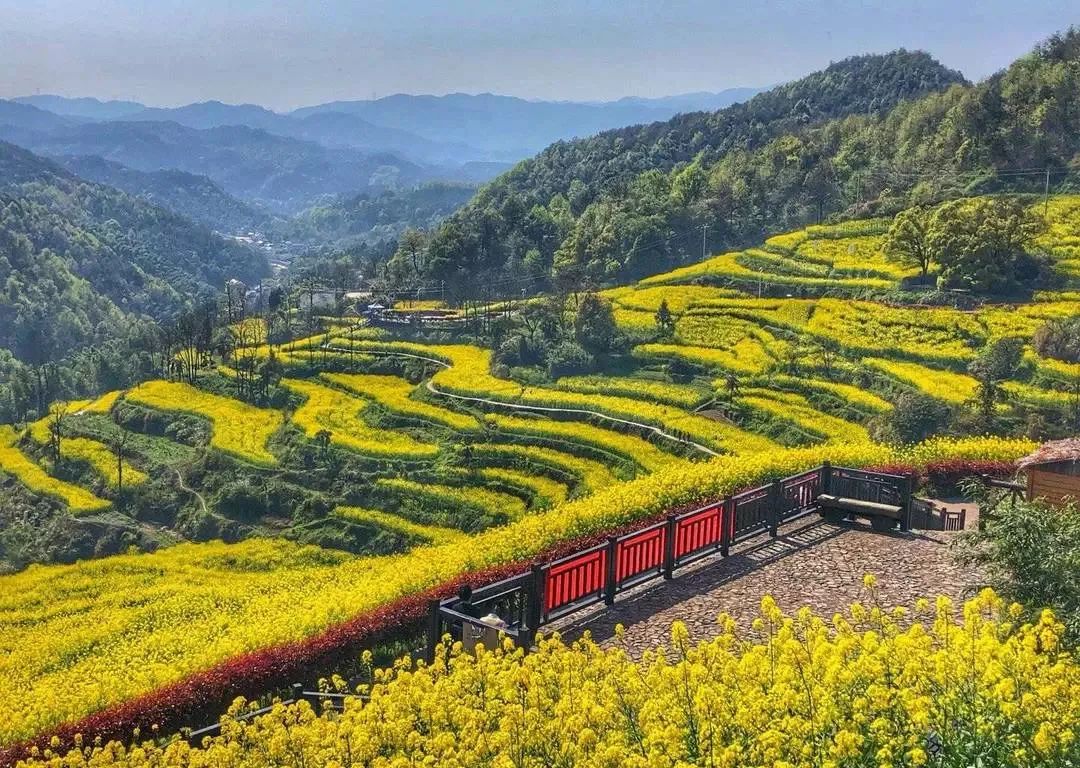 武义北到牛头山旅游攻略_武义牛头山游玩时间_武义牛头山多少时间可以到山顶