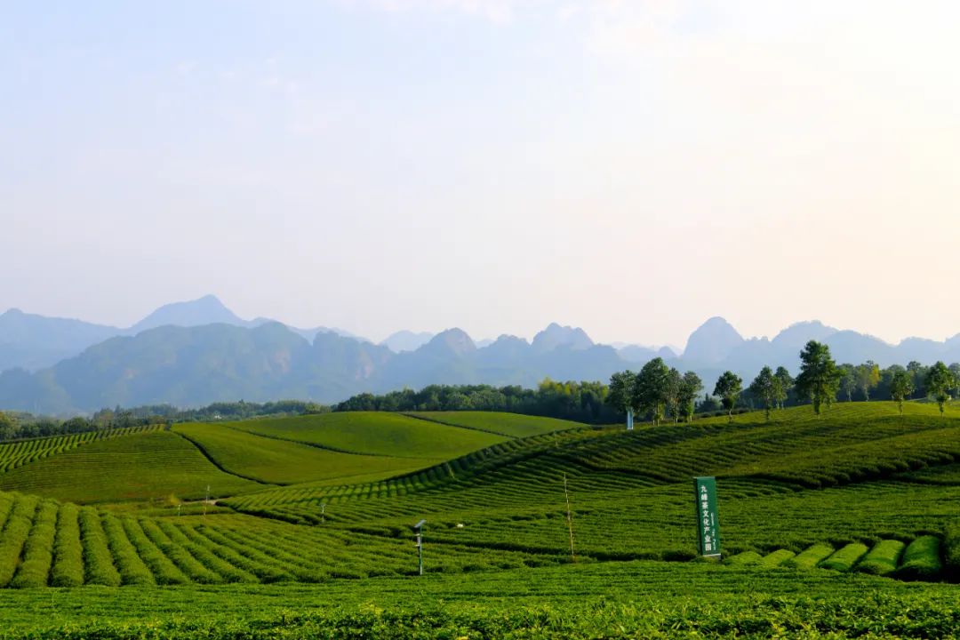 武义牛头山多少时间可以到山顶_武义牛头山游玩时间_武义北到牛头山旅游攻略