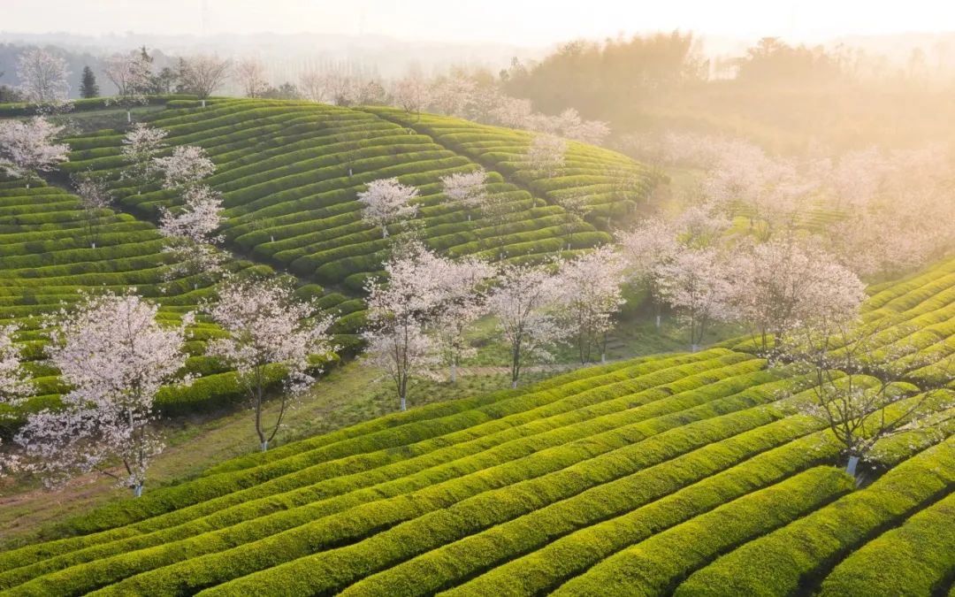 武义北到牛头山旅游攻略_武义牛头山多少时间可以到山顶_武义牛头山游玩时间