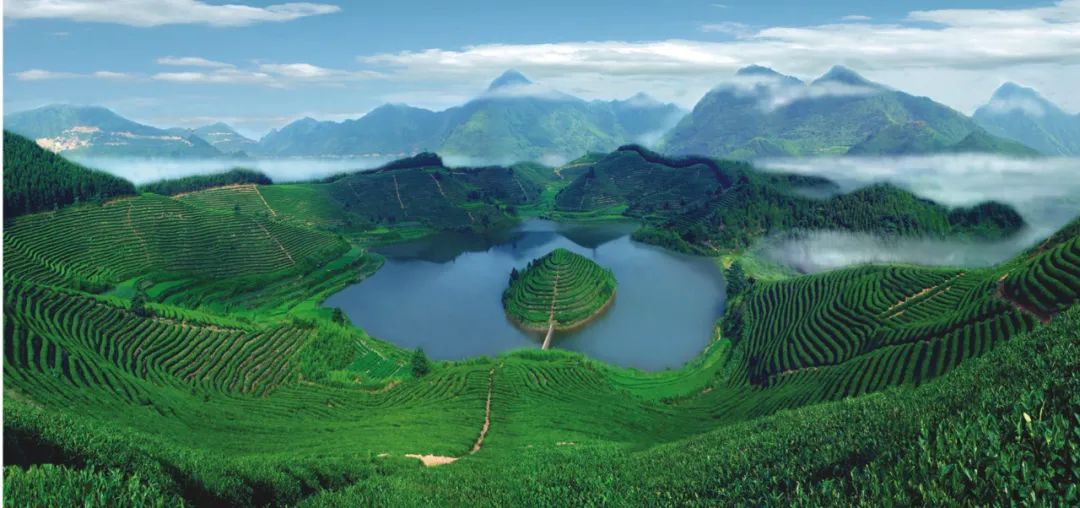 武义牛头山多少时间可以到山顶_武义牛头山游玩时间_武义北到牛头山旅游攻略