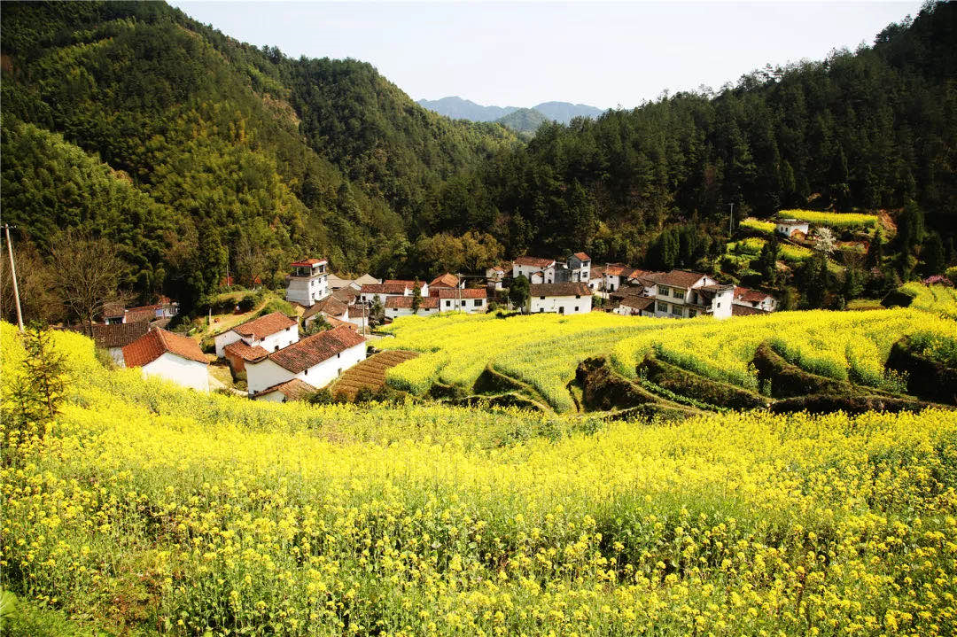 武义牛头山多少时间可以到山顶_武义牛头山游玩时间_武义北到牛头山旅游攻略