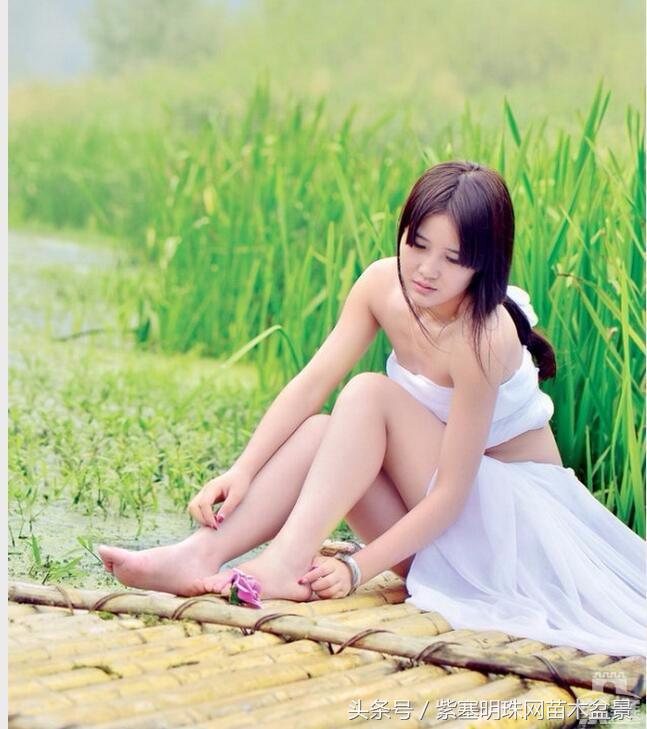 孤山寨旅游攻略_孤山寨游玩时间_孤山寨电话