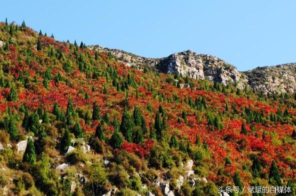 孤山寨电话_孤山寨旅游攻略_孤山寨住宿