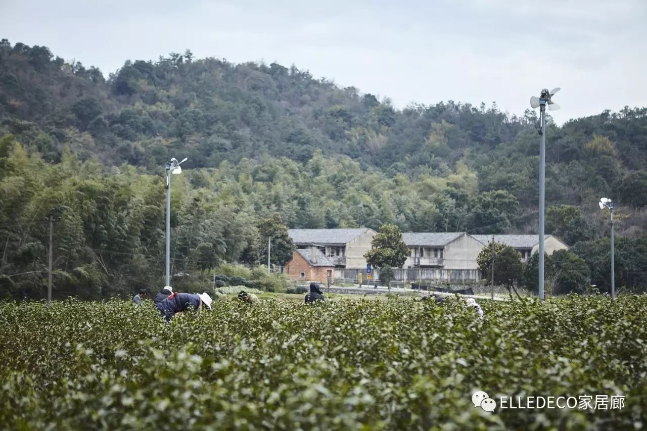 宁波市慈城古镇_宁波慈城古镇旅游攻略_宁波慈城古镇里的景点有什么