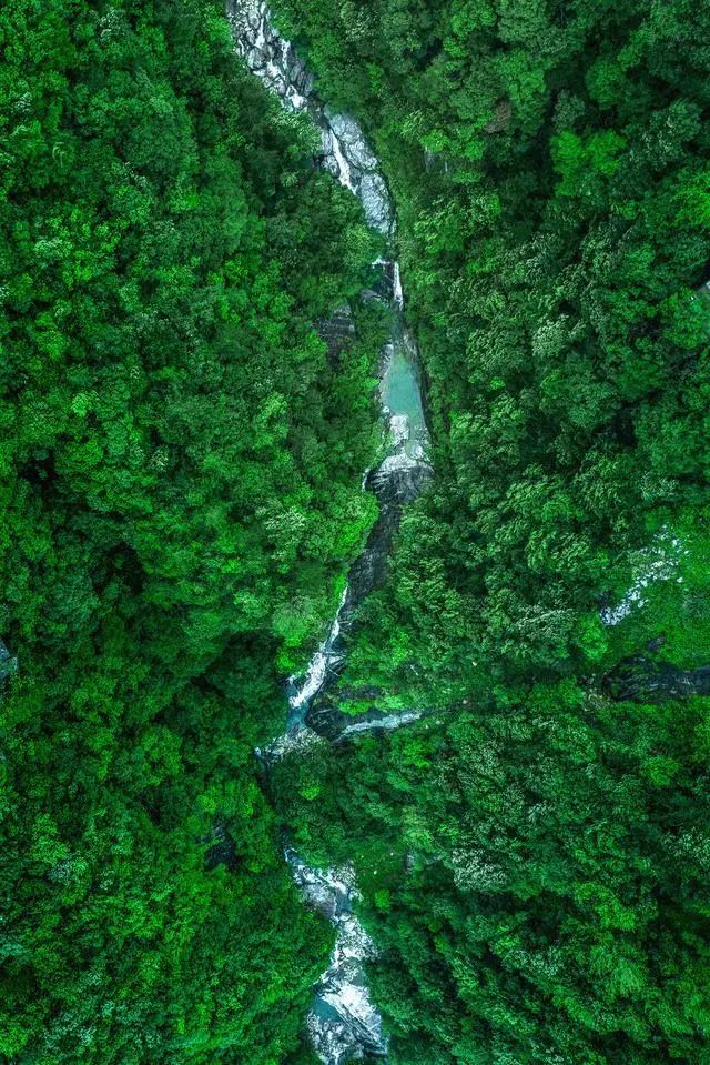 湖北天堂寨旅游攻略_斑马背景墙壁画_施华洛世奇项链调节