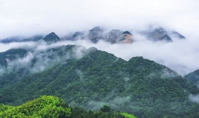 湖北天堂寨旅游攻略_施华洛世奇项链调节_斑马背景墙壁画