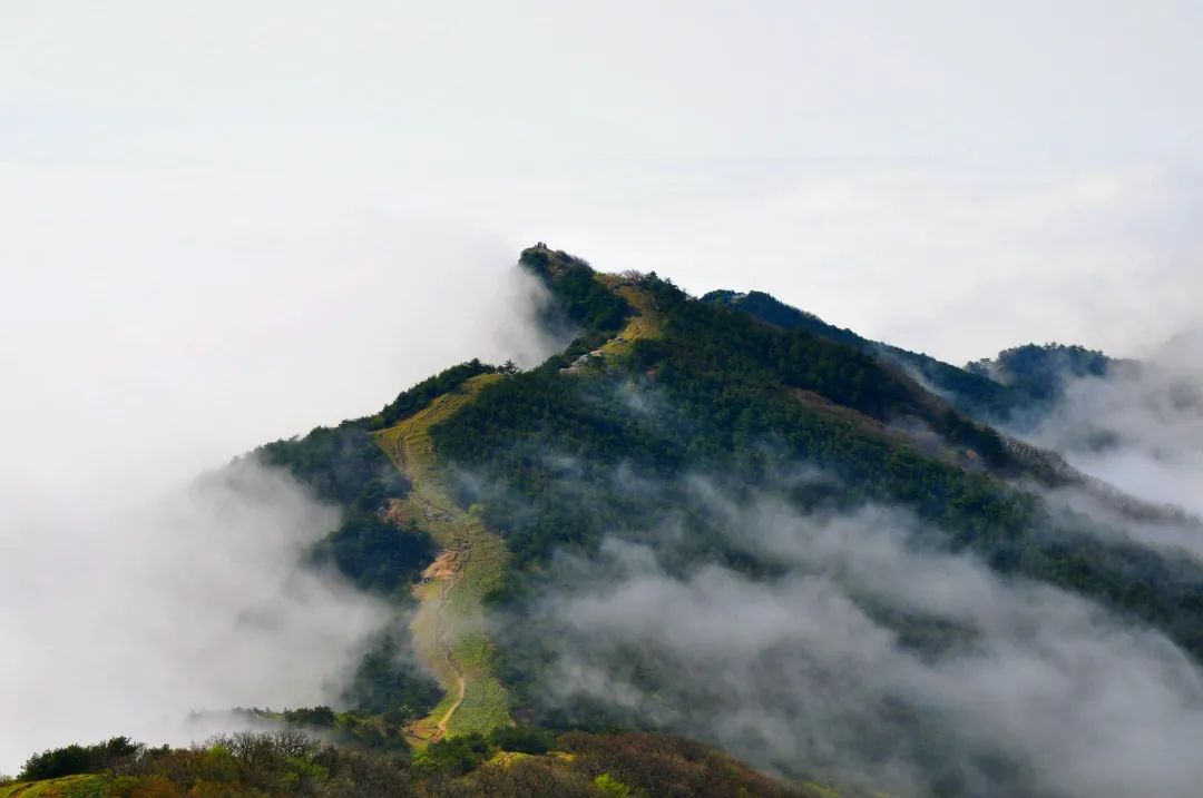 施华洛世奇项链调节_斑马背景墙壁画_湖北天堂寨旅游攻略