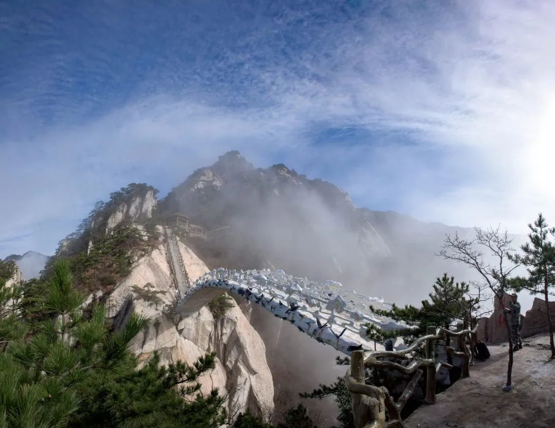 施华洛世奇项链调节_湖北天堂寨旅游攻略_斑马背景墙壁画