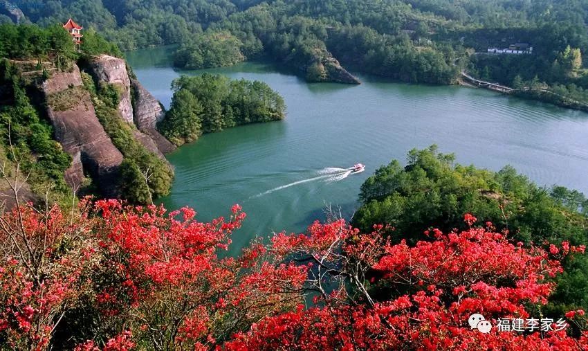 清流灵台山旅游攻略_福建清流灵台山景点_清流灵台山旅游指南