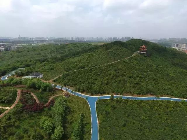 江夏梁子湖旅游攻略_江夏梁子湖自驾风景_江夏区梁子湖风景区建设规划