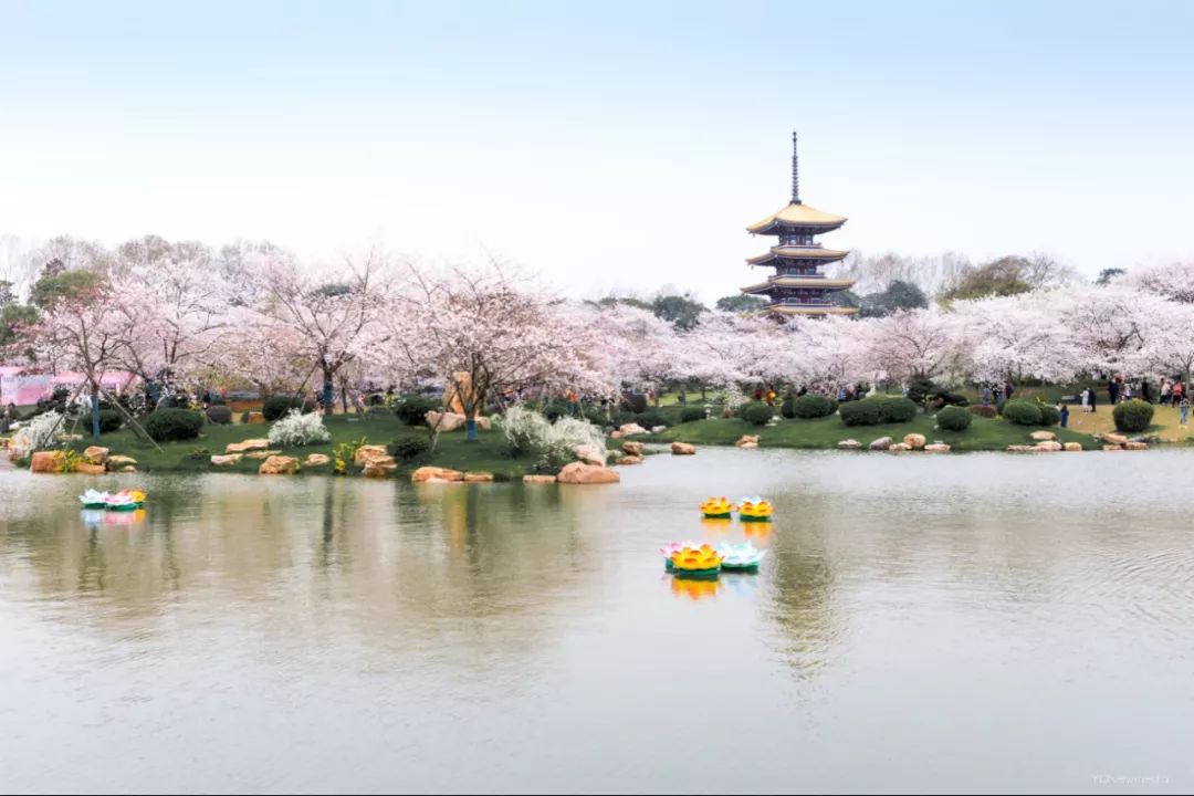 江夏区梁子湖风景区建设规划_江夏梁子湖自驾风景_江夏梁子湖旅游攻略