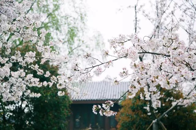 江夏区梁子湖风景区建设规划_江夏梁子湖自驾风景_江夏梁子湖旅游攻略