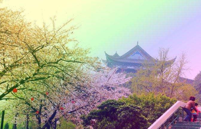 江夏梁子湖旅游攻略_江夏梁子湖自驾风景_江夏区梁子湖风景区建设规划