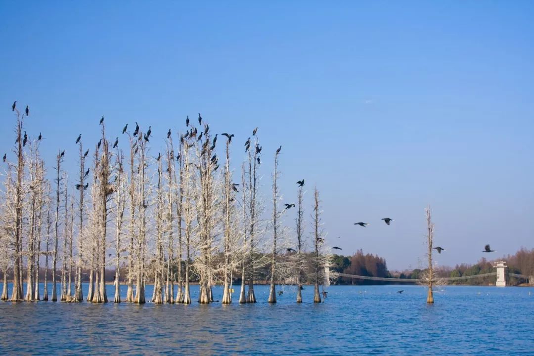 江夏区梁子湖风景区建设规划_江夏梁子湖自驾风景_江夏梁子湖旅游攻略