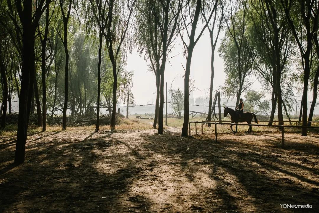 江夏梁子湖自驾风景_江夏梁子湖旅游攻略_江夏区梁子湖风景区建设规划