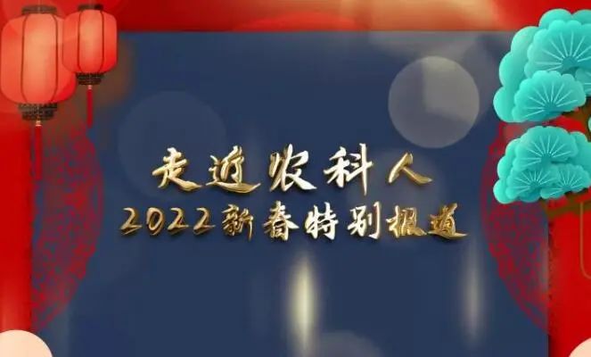 重庆时尚冷暖人生全集_冷暖人生重庆时尚频道_重庆时尚频道直播冷暖人生