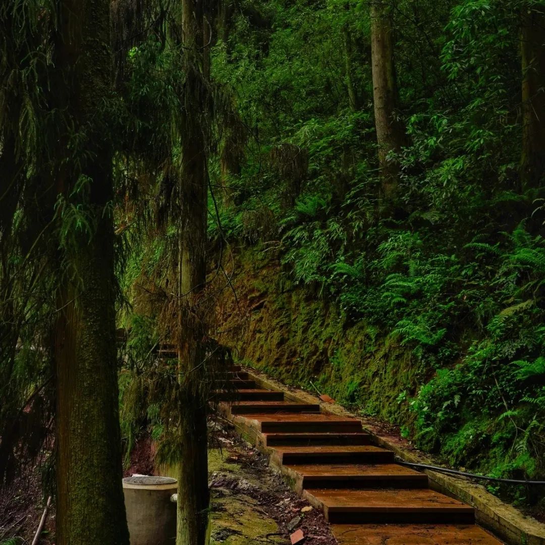 峨眉山老年人怎么玩_峨眉山老年人旅游攻略_峨眉山景区老年人门票优惠政策