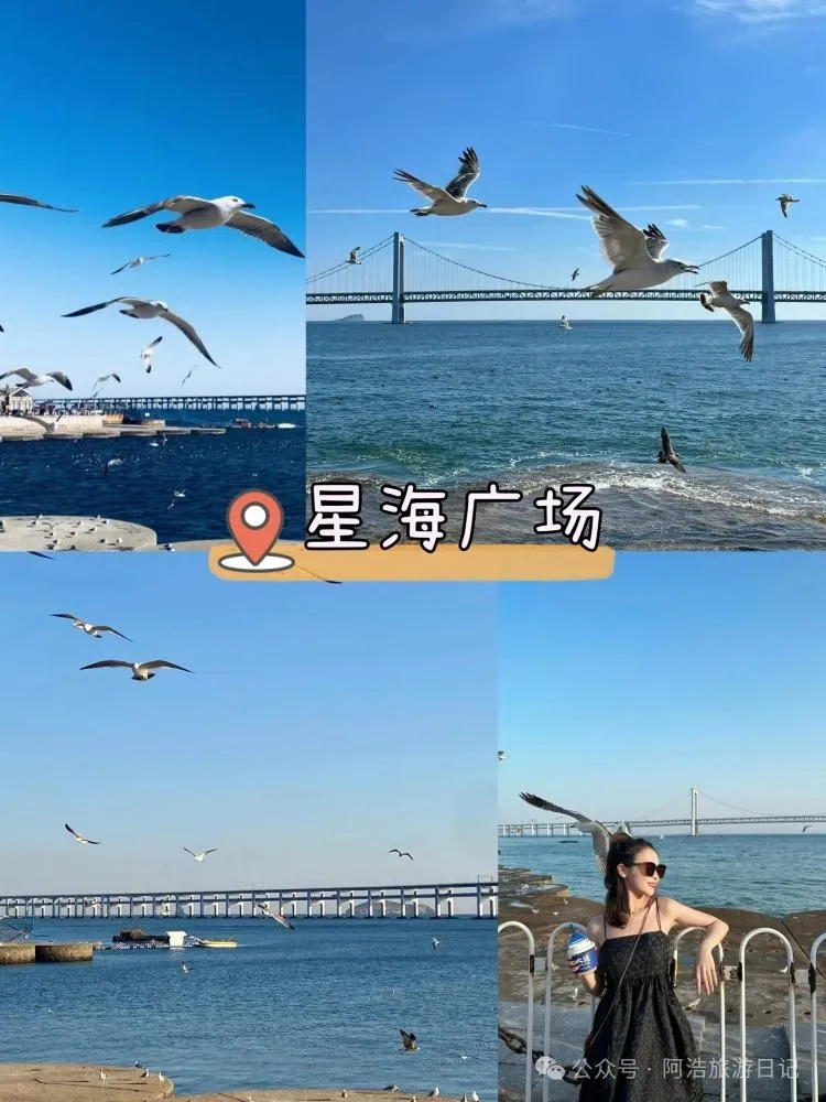 大连黄金海岸的海是什么海_大连黄金海岸开放时间_大连黄金海岸旅游攻略