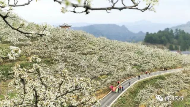 贵阳到镇远一日游_贵阳到镇远途中有什么景点_贵阳到镇远旅游攻略