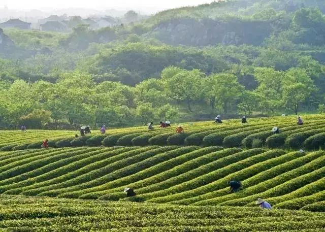 无锡景点影视基地_无锡影视城旅游攻略_无锡影视城一日游攻略