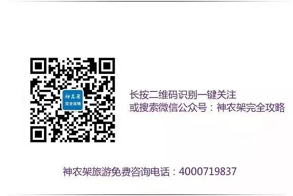 宜昌攻略旅游神农架到哪里去_宜昌到神农架二日游_宜昌到神农架旅游攻略