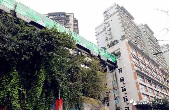 武汉到重庆游轮旅游价格_重庆到武汉游轮旅游攻略_武汉到重庆的豪华游轮