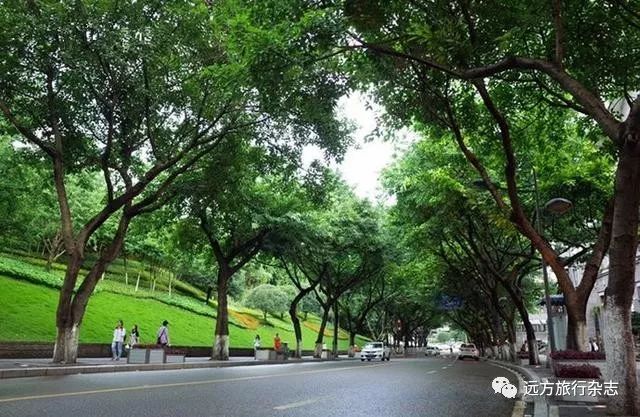 武汉到重庆游轮旅游价格_武汉到重庆的豪华游轮_重庆到武汉游轮旅游攻略