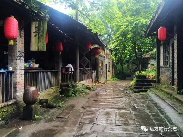 重庆到武汉游轮旅游攻略_武汉到重庆的豪华游轮_武汉到重庆游轮旅游价格
