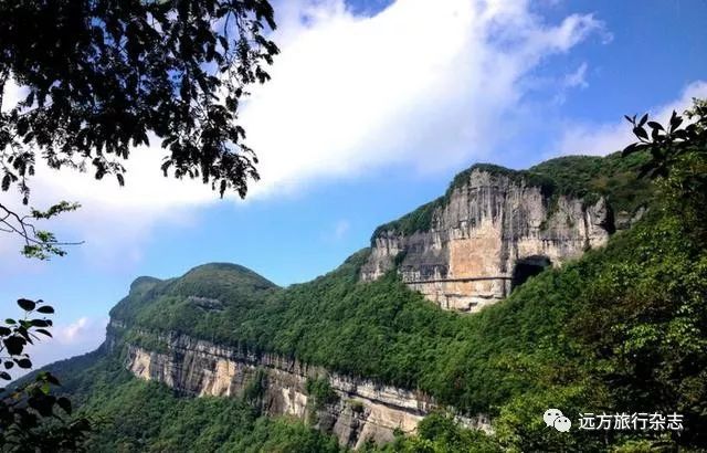 武汉到重庆的豪华游轮_重庆到武汉游轮旅游攻略_武汉到重庆游轮旅游价格