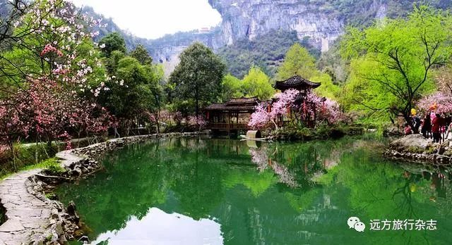 武汉到重庆游轮旅游价格_武汉到重庆的豪华游轮_重庆到武汉游轮旅游攻略