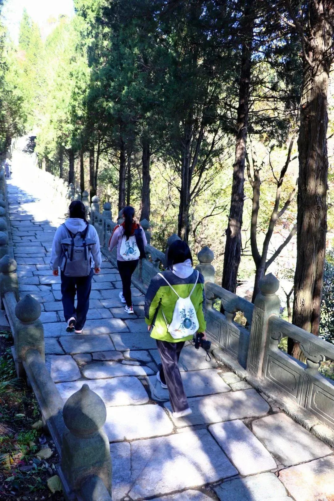 冬季武当山自助游攻略_武当山冬天旅游攻略_冬季武当山景色