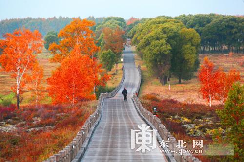 五一五大连池旅游攻略_五大连池风景区旅游攻略_五一五大连池有什么好玩的