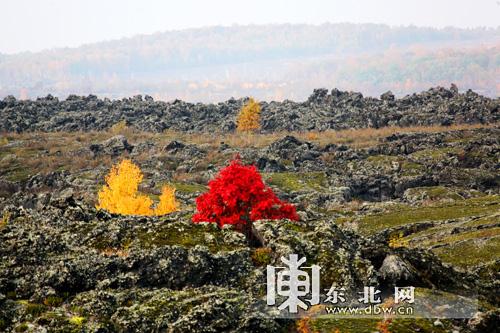 五大连池风景区旅游攻略_五一五大连池旅游攻略_五一五大连池有什么好玩的